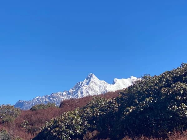 uphill-from-chholangpaty-langtant-trek