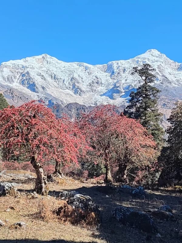 manaslu-region-trek