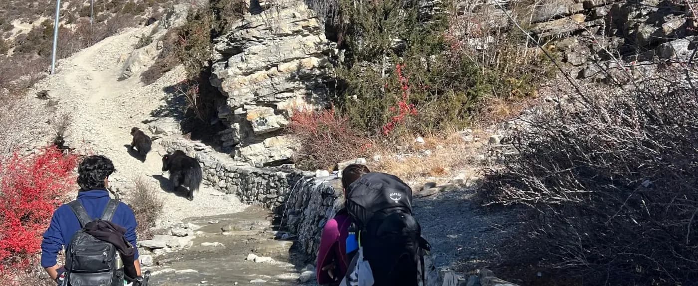 Way to Annapurna Circuit Trek