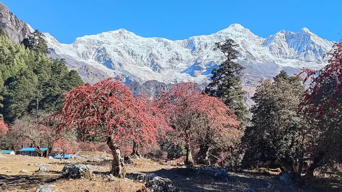 beauty-of-manaslu-trekking