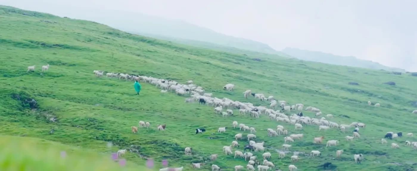 Dhorpatan Pastureland in Trek