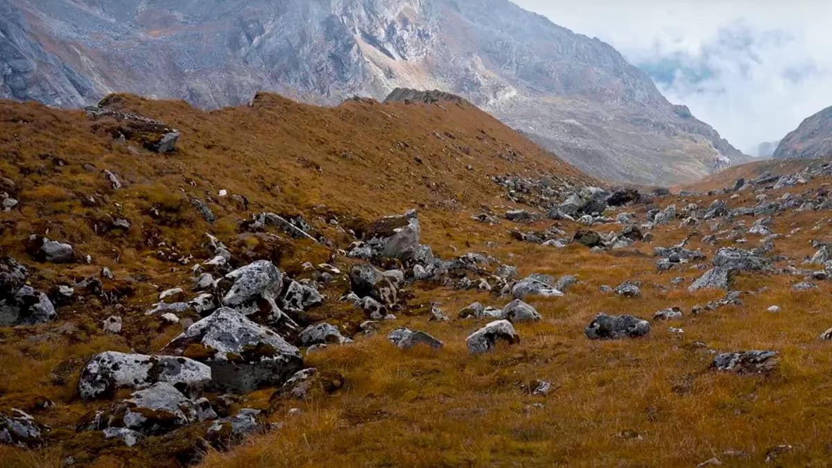 ganesh-himal-base-camp-trekking