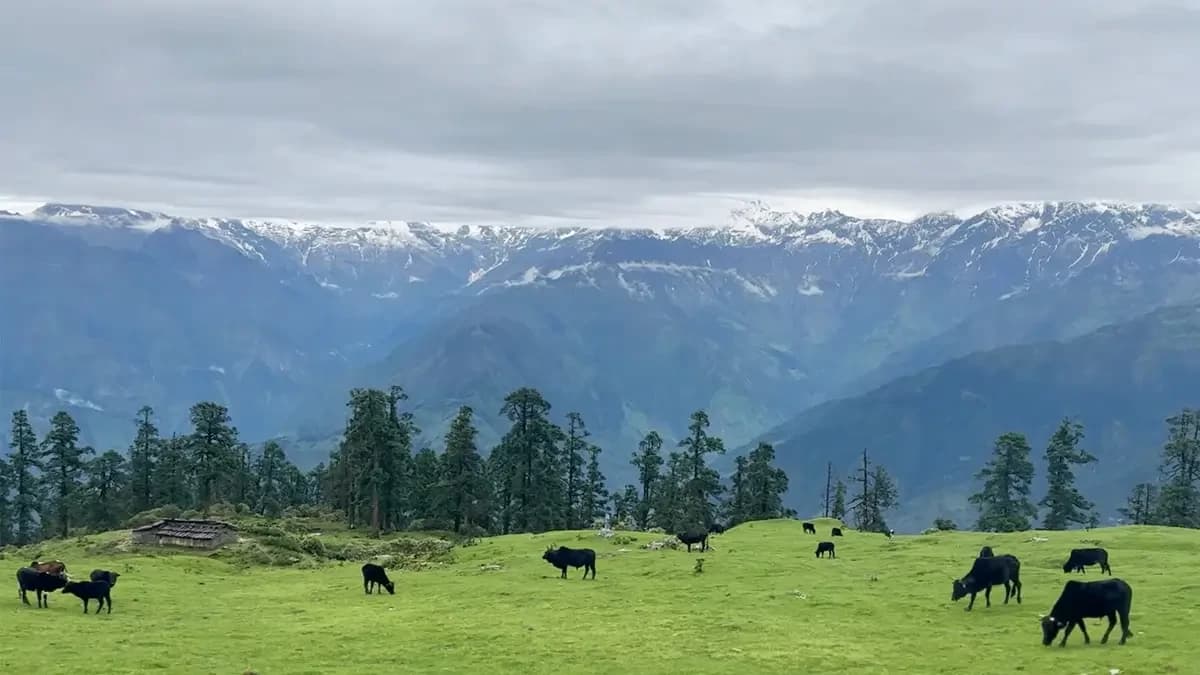himalayan-view-from-ruby-valley-trek