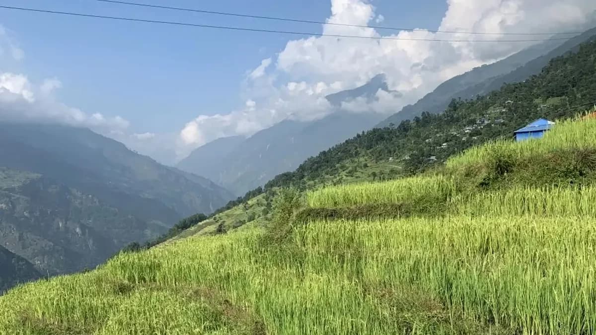 lower-manaslu-and-tinsure-gangajamuna-trek-farming