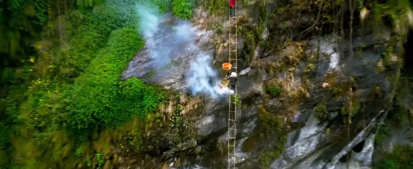 fire-smoke-during-honey-hunting