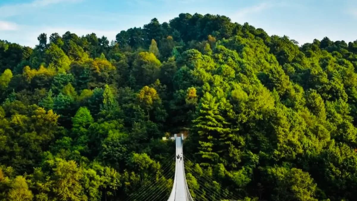 suspension bridge-nagarkot-trek