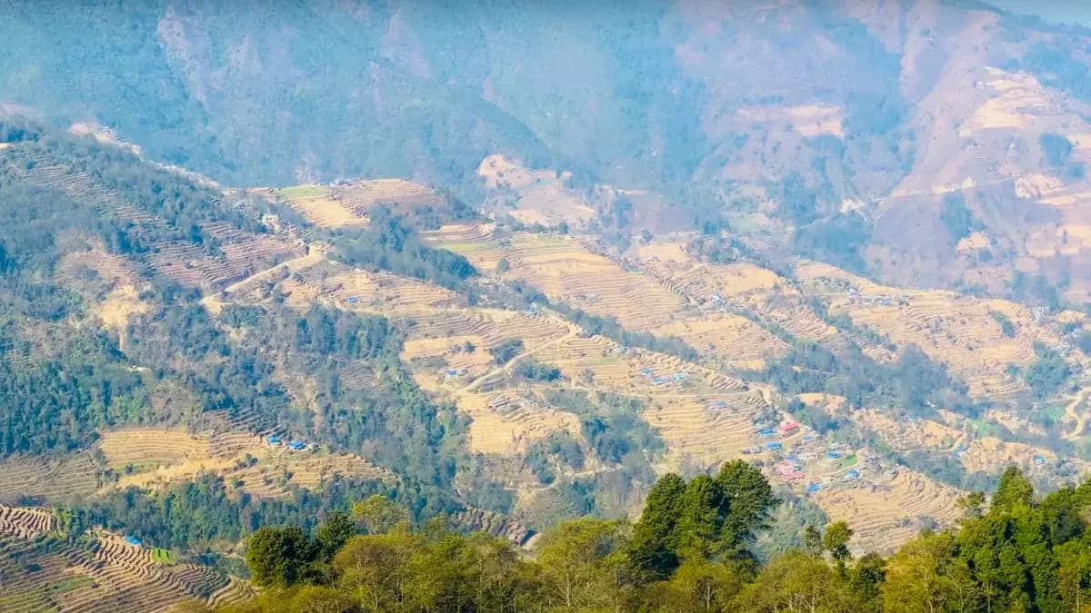 terrace-field-in-chisapani-nagarkot-trek