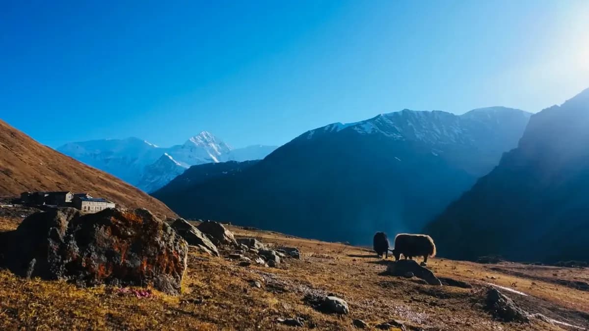 thorong-high-camp-annapurna