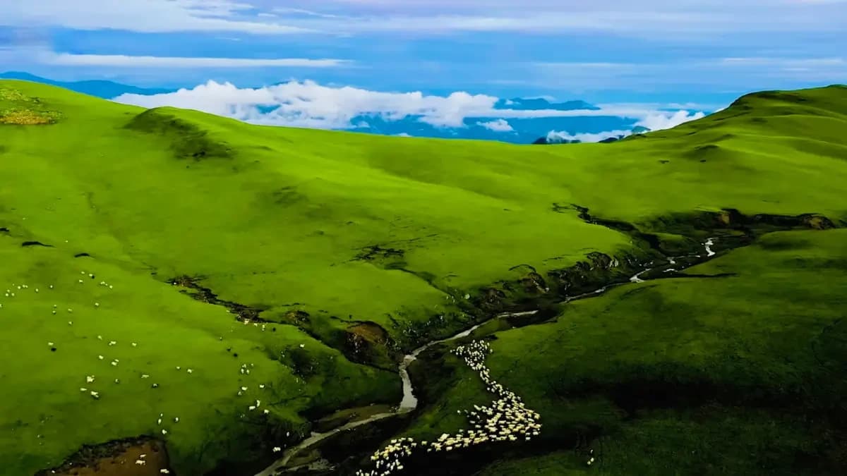 Triveni Kalikot Pastureland in Badimalika Trek