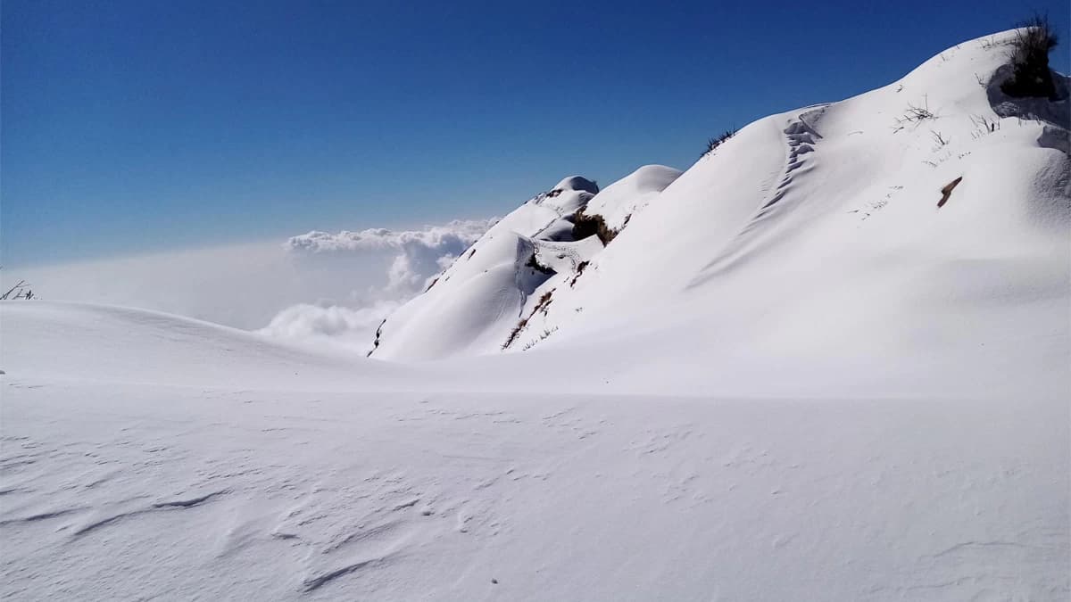 view-from-mardi-high-camp