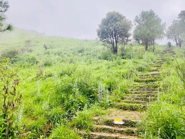 Grassland in bhasmasur hill