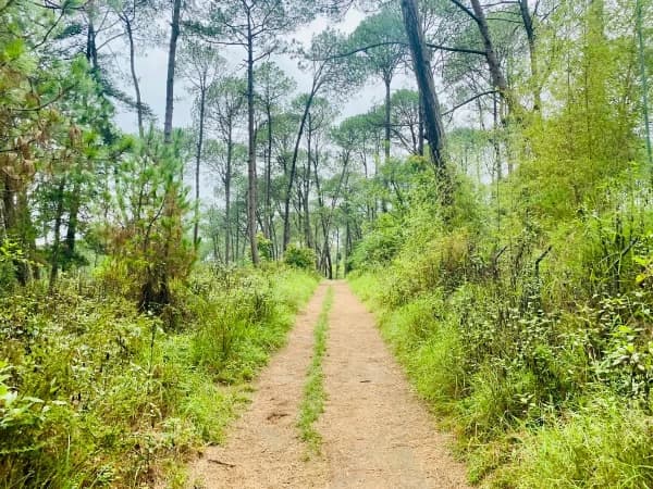 Trail to champadevi hike