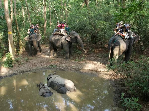 chitwan-jungle-safari