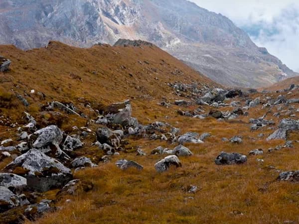 Best Time To Trek Ruby Valley