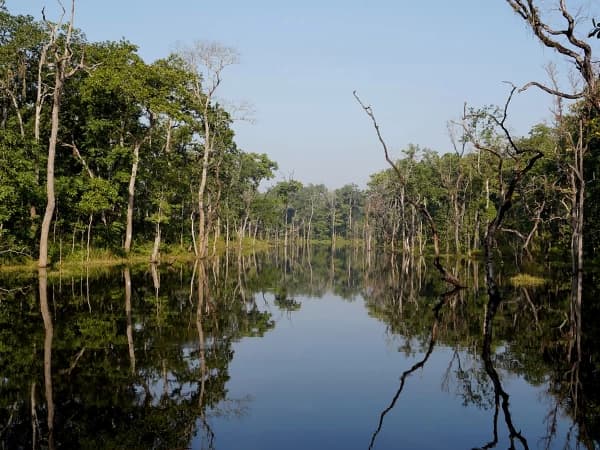 Chitwan Jungle Safari Pond