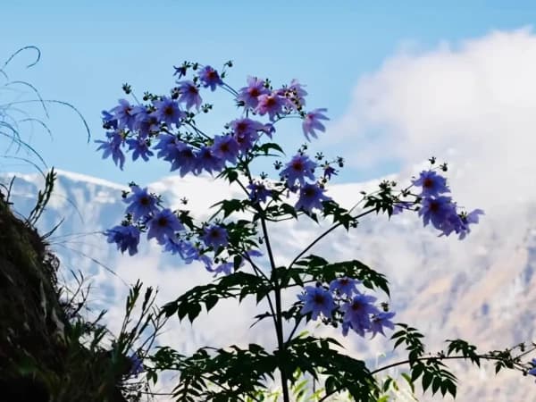 During Dharapani To Chame In Annapurna Circuit