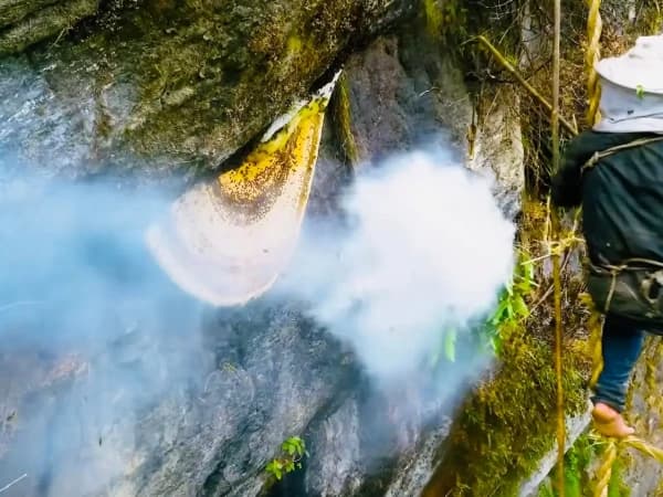 During Mad Honey Hunting Tour