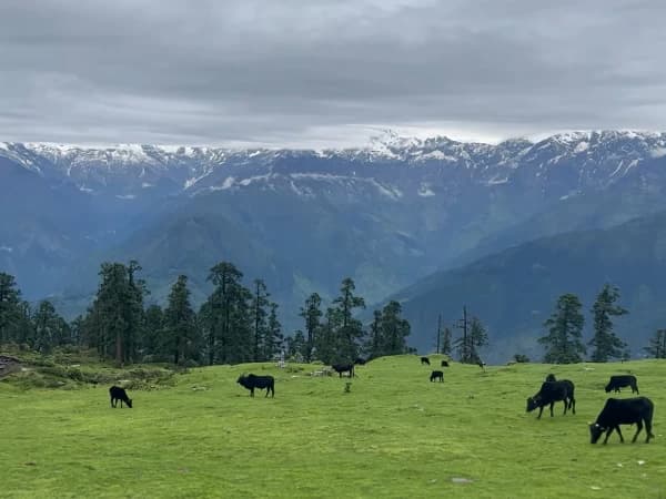 Himalayan View From Ruby Valley Trekking