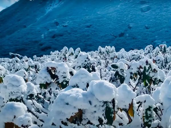 In Dobato During Makalu Trek