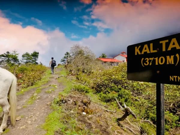 Kal Tal Altitude 3710m.