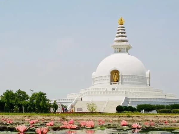 Lotus Blooming Backround World Peace Pagoda