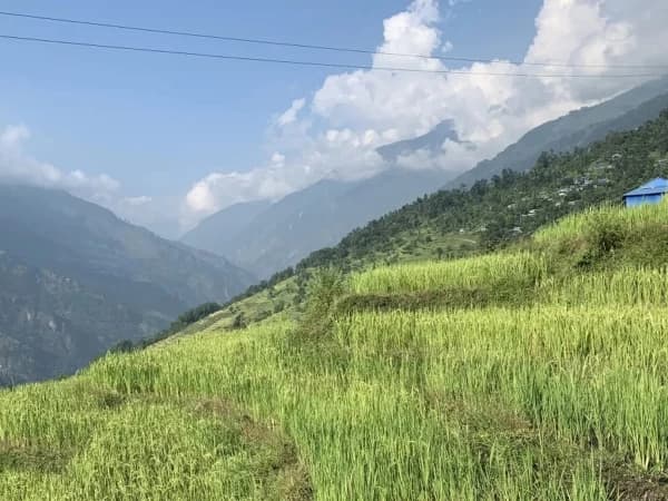 Lower Manaslu And Tinsure