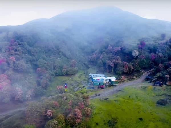 Rhododendrons Forest In Peaky Peak With Everest View Trek