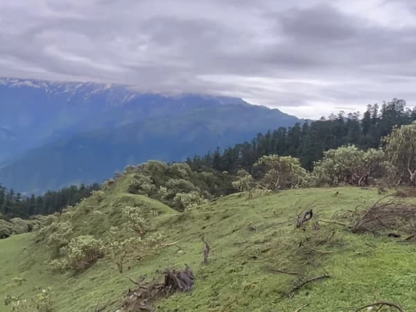 Ruby Valley Trek Forest