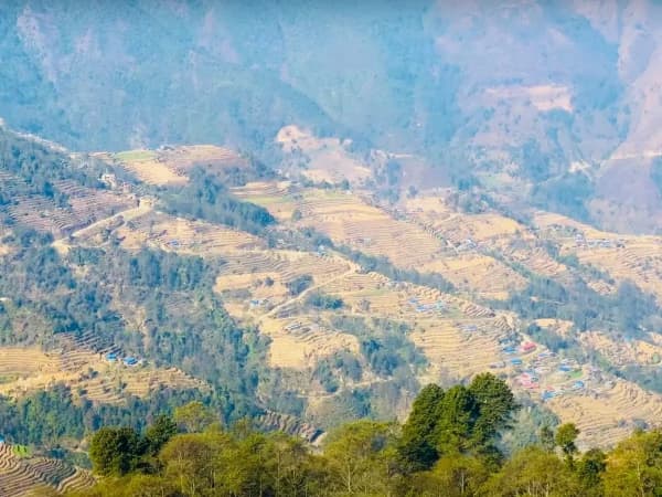 Terrace Field In Chisapani Nagarkot Trek