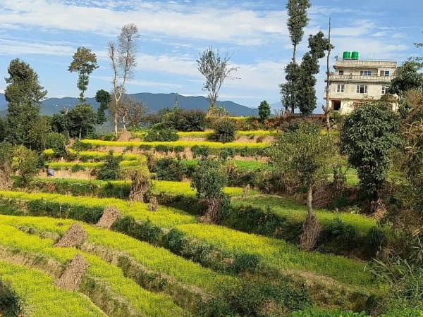 Terrace Field In Nagarkot Day Tour