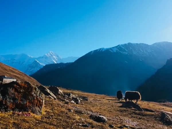 Thorong High Camp Annapurna