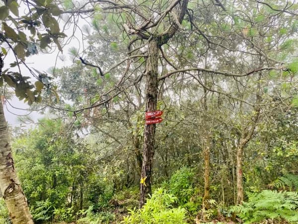 Trail To Bhasmasur Chandragiri