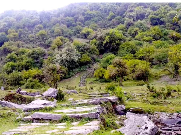 Trekking Through Lush Forest In Kapuche Glacier Lake Trek