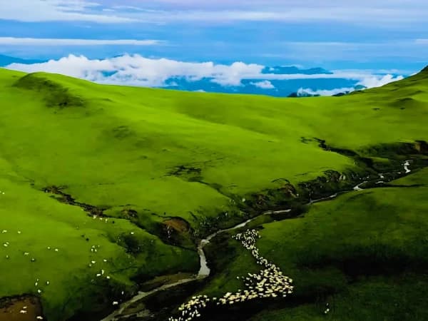 Triveni Kalikot Pastureland In Badimalika Trek