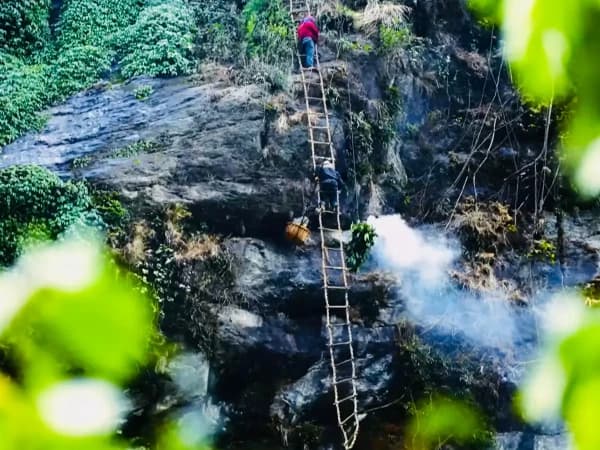 Wild Mad Honey Hunting Tour