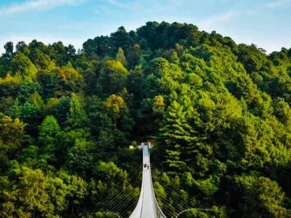 suspension-bridge-nagarkot-trek