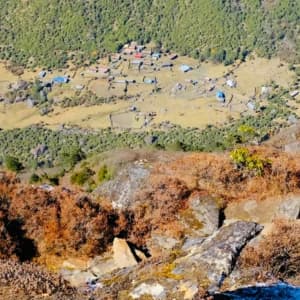 Evelyn Sofiya George